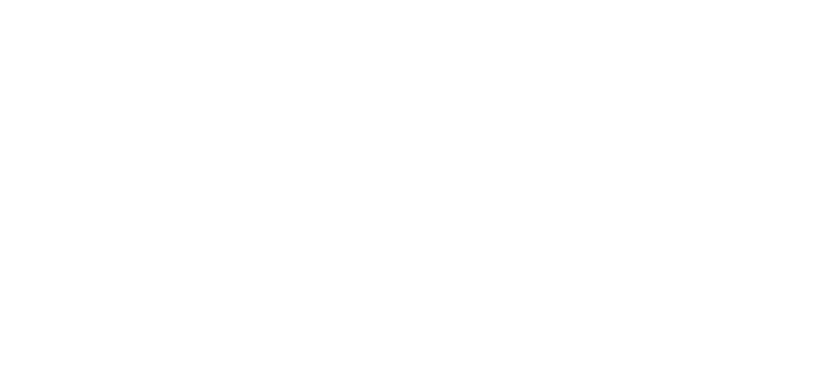 BAC — Audit Firm, Ahmad Bahjat & Co.
